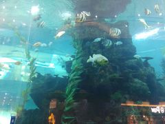 -鸿通城购物中心