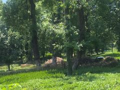 -野蔓果·山野菜(西湖景区·龙井茶田店)