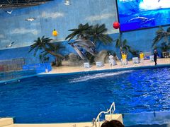 -泉城欧乐堡海洋极地世界