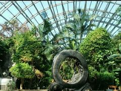 -盛泰恐龙谷温泉