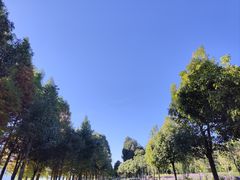 -滇池海埂公园
