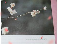 -钟书阁(群光广场店)