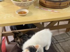 -清真·白家牛肉罩火烧老店(育才街店)