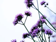 -烟水渔庄餐厅(西溪湿地店)