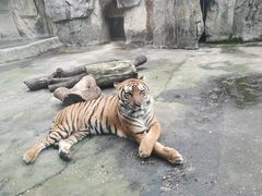 -南昌动物园