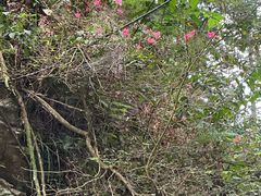 -东天目山风景区