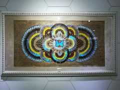 -上海昆虫博物馆