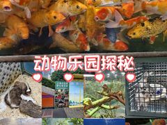 -上海大自然野生昆虫馆(东方明珠·爬宠昆虫探索中心)