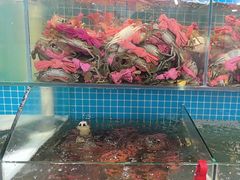 -辣螃铠盆盆蟹大排档(总店)