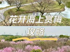 -花开海上生态园