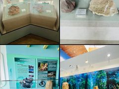 -延庆地质公园博物馆