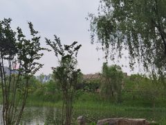 -洋湖国家湿地公园