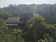 -海南槟榔谷黎苗文化旅游区