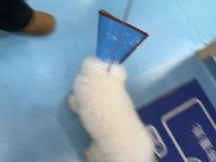 -宠颐生宠物医院·异宠猫科内科·诊疗中心宠巢店