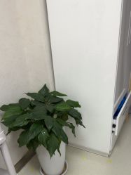 -JUVA郑州欧华医疗美容医院