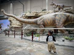 -国家自然博物馆