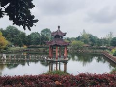 -冶父山国家森林公园