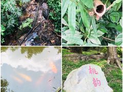 -桃花涧