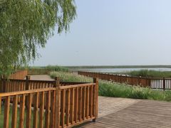 景点-官港森林公园