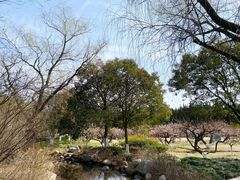 -白马涧龙池景区