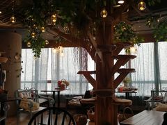 -共舞时光猫咖·狗咖(新街口店)