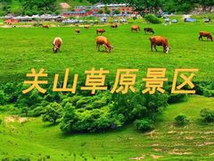 -关山草原