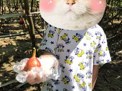 -武汉世外桃源农庄