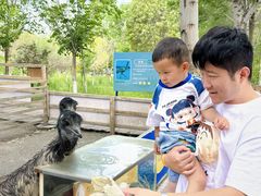 -水上乐园·欢乐世界