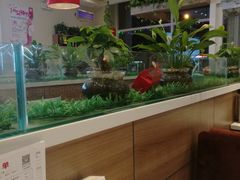 -嘉和一品粥(津华昌道店)