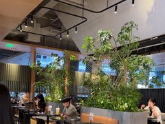 -gaga(深圳福田星河COCO Park店)