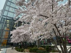 -维多利亚火车站