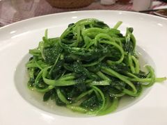 -朝郡酒家·粤菜(燕大星苑店)