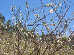 -南国桃园旅游度假区