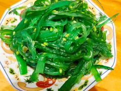 中华海草-夫子道刺身