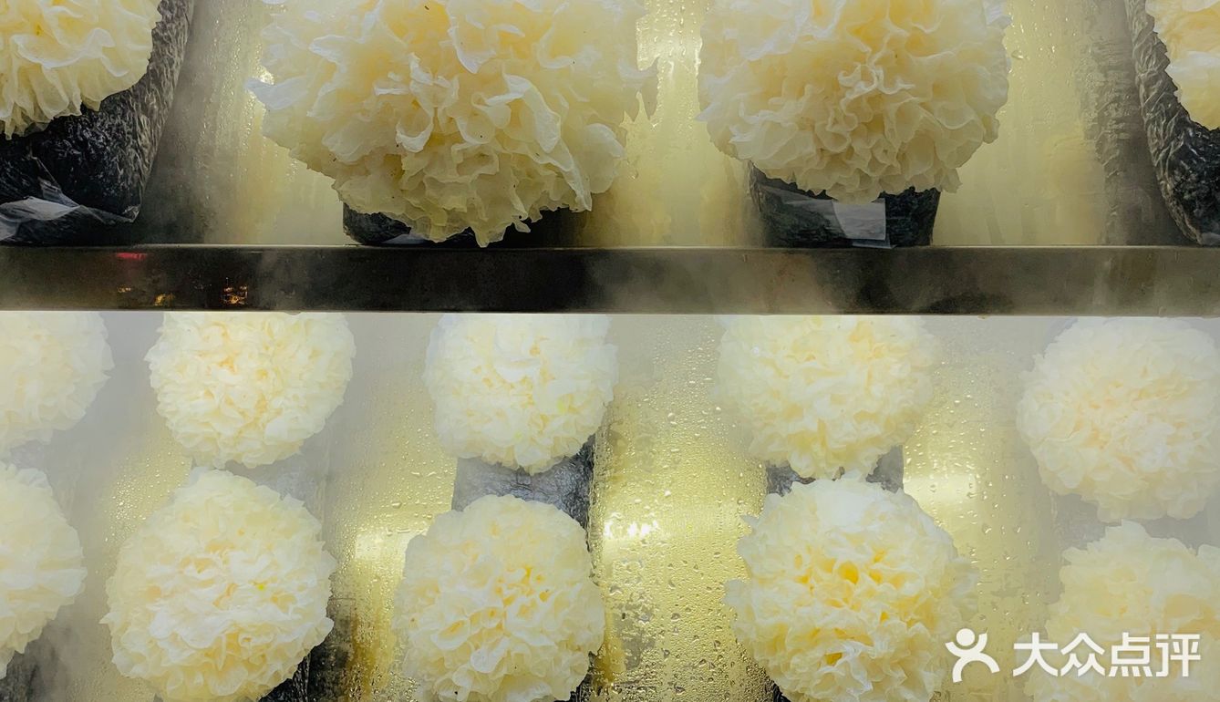徐州甜品｜鲜炖银耳羹打卡🍮