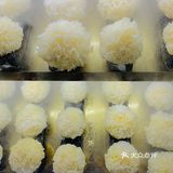 徐州甜品｜鲜炖银耳羹打卡🍮