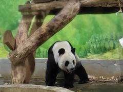-柳州市动物园
