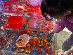 -青石桥花鸟鱼虫市场(叠翠城店)