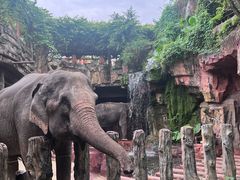 -长鹿旅游休博园