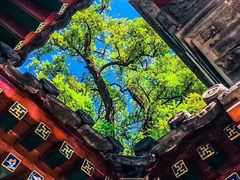 -北京第二实验小学