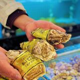 🍴一口鲜掉眉毛‼️江浙菜新店春日必冲！💃