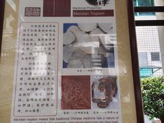 -广州神农草堂中医药博物馆
