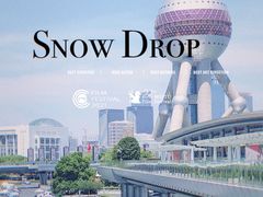 -陆家嘴中心绿地