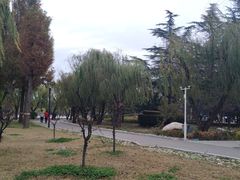 -莱西月湖公园