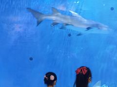 -华夏文旅西安度假区