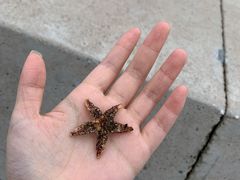 -青岛第一海水浴场