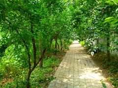 -龙裕山庄烤全羊