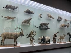 -国家自然博物馆