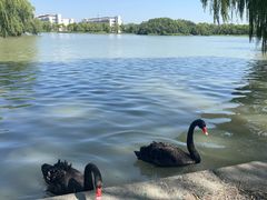 -东华大学(松江校区)