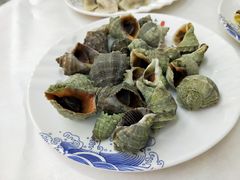 清蒸海螺-北戴河庆山饭店·海鲜砂锅粥(北戴河黑石路店)